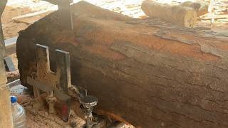 Professional Review of the 5x10 Wood Cutting Sawmill Machine