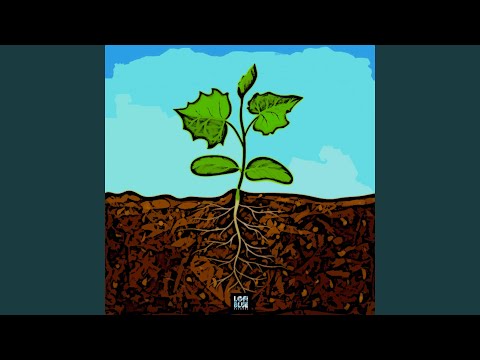 Video thumbnail for Plant Growth