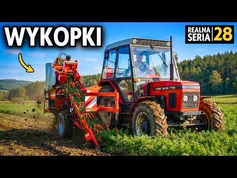 JAK MAM WYKOPAĆ TYLE MARCHEWEK? 🔥 Polanki #28