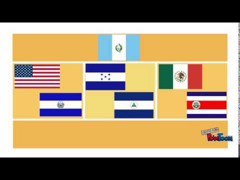 CACM ( Central American Common Market)