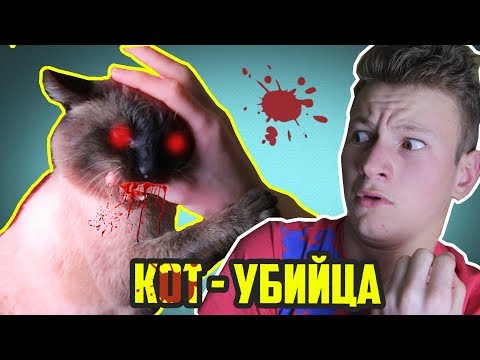10 ФАКТОВ О МОЕМ КОТЕ / ПАРОДИЯ