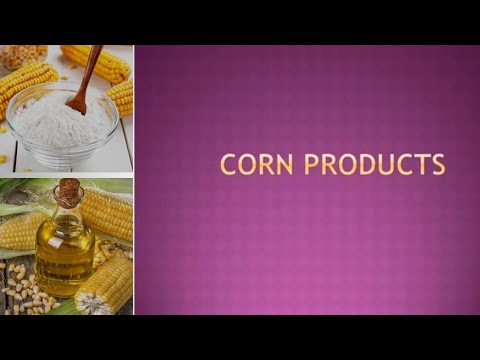 Food Technology Notes- 3 Corn Products
