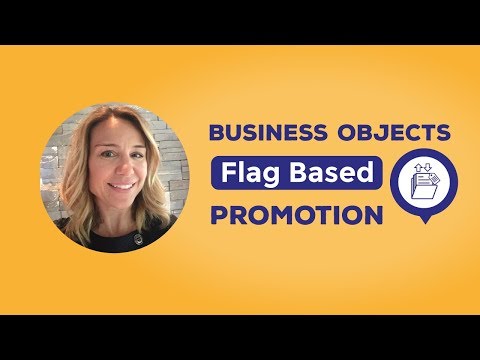 Business Objects Flag Based Promotion