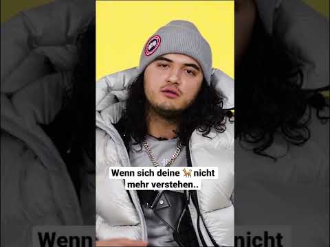 FGun $haki: Wenn sich deine 🐕 nicht mehr verstehen.. |#shorts