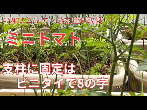 プランターの取り付け：花が落ちないようにするには？  庭園