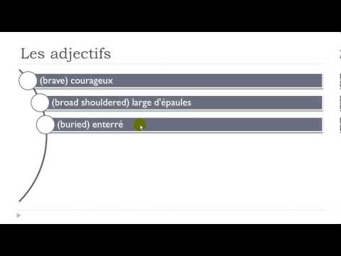 Crash course in French # 54 minutes to discover 320 French adjectives