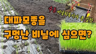 대파모종심는시기 대파밭 비닐멀칭하는 이유와 방법 대파모종가격 대파농사 무동력비닐피복기