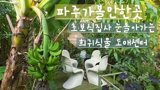 4K 파주 가볼만한곳/4000평 규모의 희귀식물 가득한  저렴한  정글가든  식쇼핑 도매센터 파주 조인폴리아 구경하기