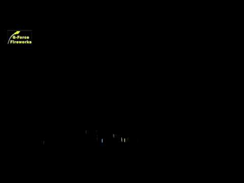 SS75-004 (100mm Shell White Peony)