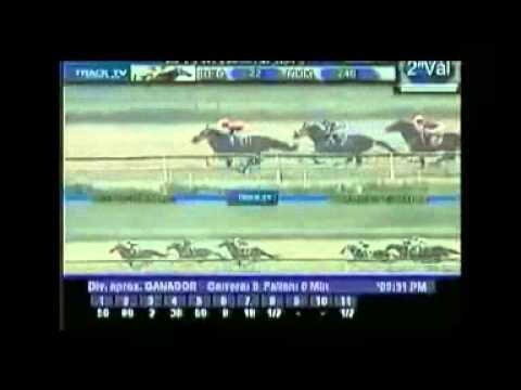 5Y6 EN VIDEO DOMINGO 29 ENERO 2DA PARTE