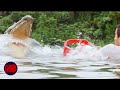 Surprise Gator ATTACK Anacondas The Hunt For The Blood Orchid Now Scaring