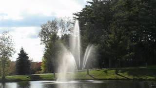 Clover Fountain 1.5 HP