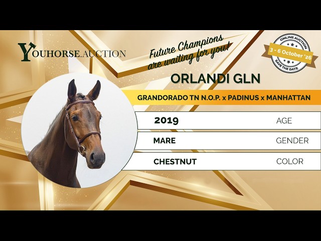 Orlandi showvideo outdoor