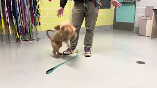 Brandy 236841 | Refreshing Fun