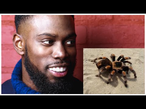 Did Ghetts Slow Down Tarantula?