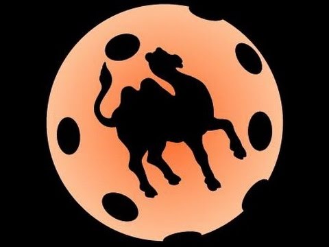 FBC Plzeň žákyně vs. elévové