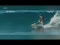 Surfing Oahu Dog Makes A Splash In New Lilo Stitch Movie