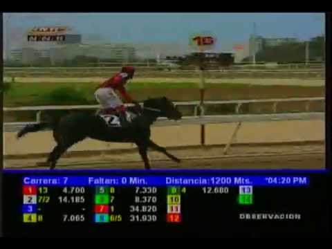 Resumen Sábado, 04 de Abril de 2015 - La Rinconada