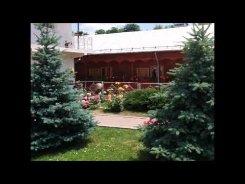 20150614 NICOLAE BALASOIU   DUMINICA a 2 a DUPA RUSALII   A SFINTILOR ROMANI