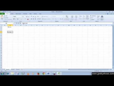 Microsoft Office Excel 2010 Entering Data