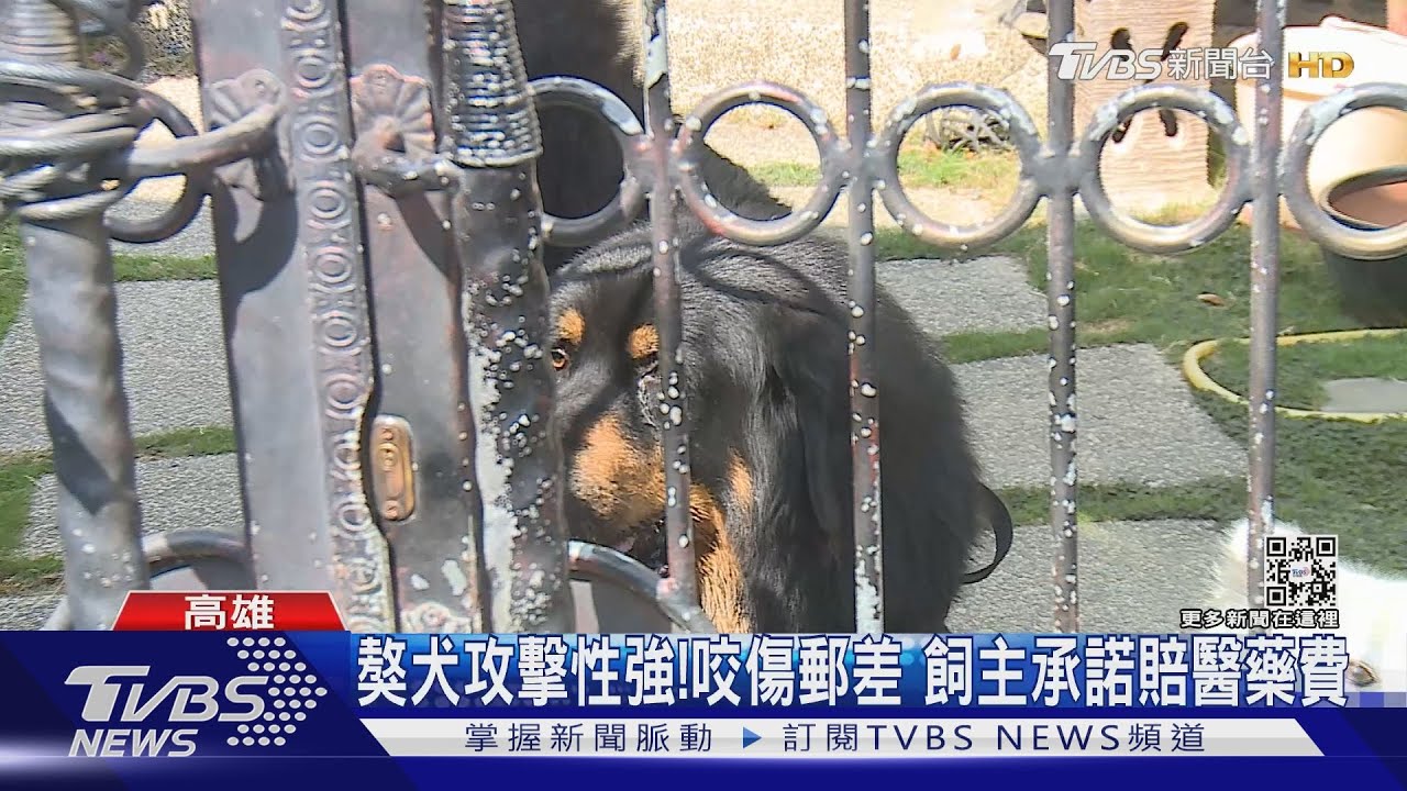 郵差送信遭「獒犬」迎面撲！咬壞衣服　胸部、手臂留齒痕