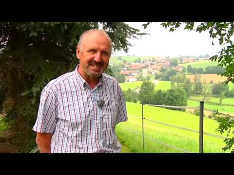 Pilgern auf dem ostbayerischen Jakobsweg