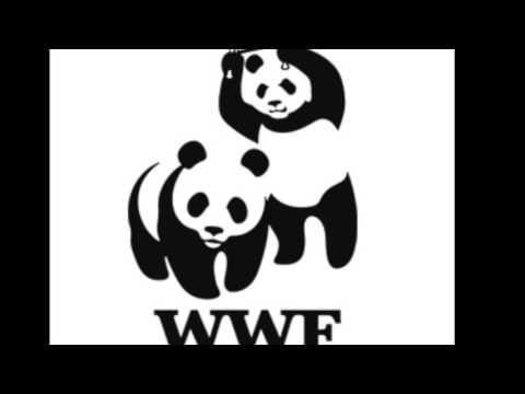 JAVI PARIS - SOLO ( PROD BY : JAVI PARIS )