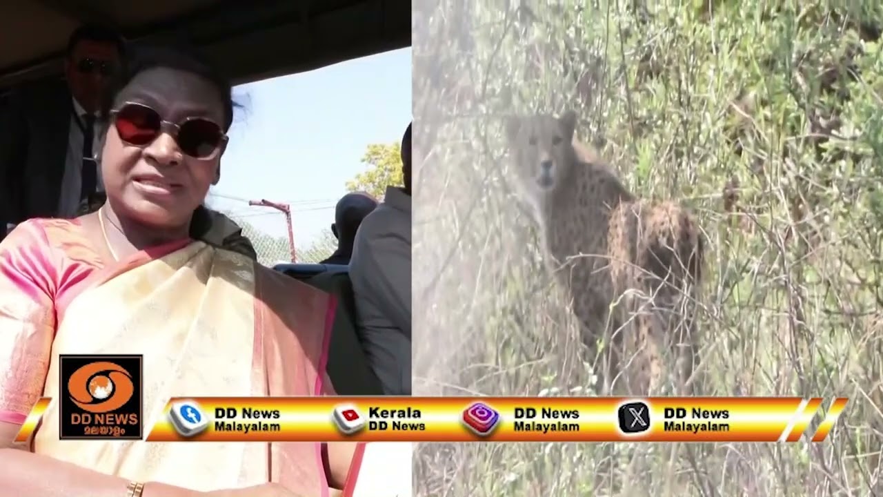 പ്രോജക്ട് ചീറ്റയ്ക്ക് കീഴിൽ ബോട്സ്വാന ഇന്ത്യയിലേക?