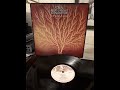 Van Der Graaf Generator   Still Life 1976
