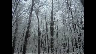 Download lagu copy BC1E1498 2DE2 420A 8EAE DEB98B77F65A mp3