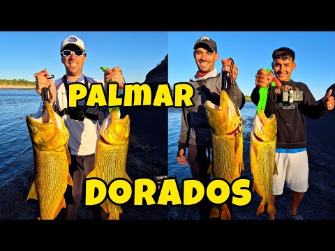 PESCA de DORADOS GIGANTES en la REPRESA DE PALMAR, URUGUAY