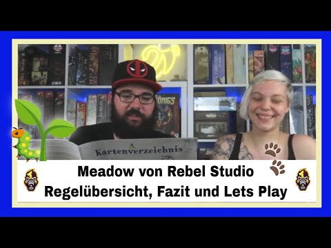 Meadow im Reich der Natur von Rebel Studio - Regelübersicht, Fazit und Lets Play mit Affenfratze