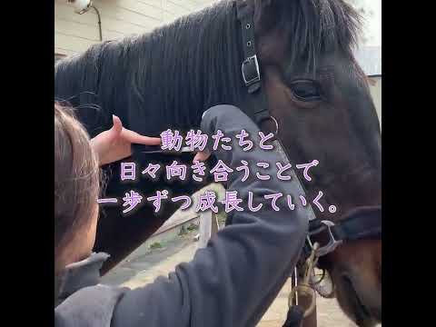 先端経営学科 リラの花咲くけものみち特設サイト
