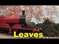 Leaves