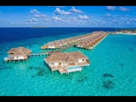 Videos del Sun Siyam Iru Veli 5★ en Dhaalu Atoll, MaldivasVer MásVerPrecios17CerrarConsulta por Whatsapp 🇦🇷BookingTripadvisorExpediaAgodaTravelocityOrbitzPricelineTripSkyscannerKayakHotelesDestiniaTrivagoLastminuteHotwireTuiWotif