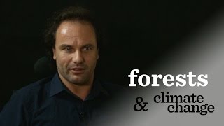 Stephen Leonard on REDD