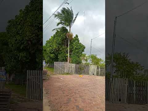 Feijó acre 🇬🇫