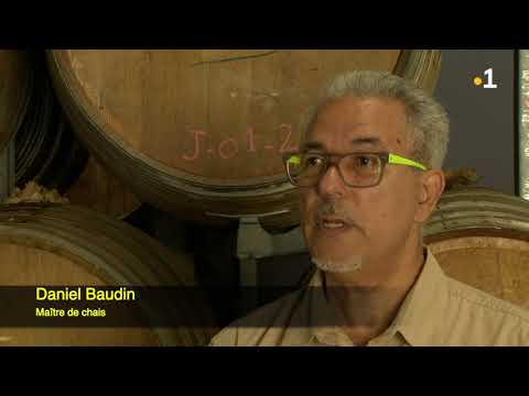 Daniel Baudin maître de chais (reportage 28/02:2019)