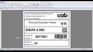 Cab CabLabel S3 Pro 1PS 5588001