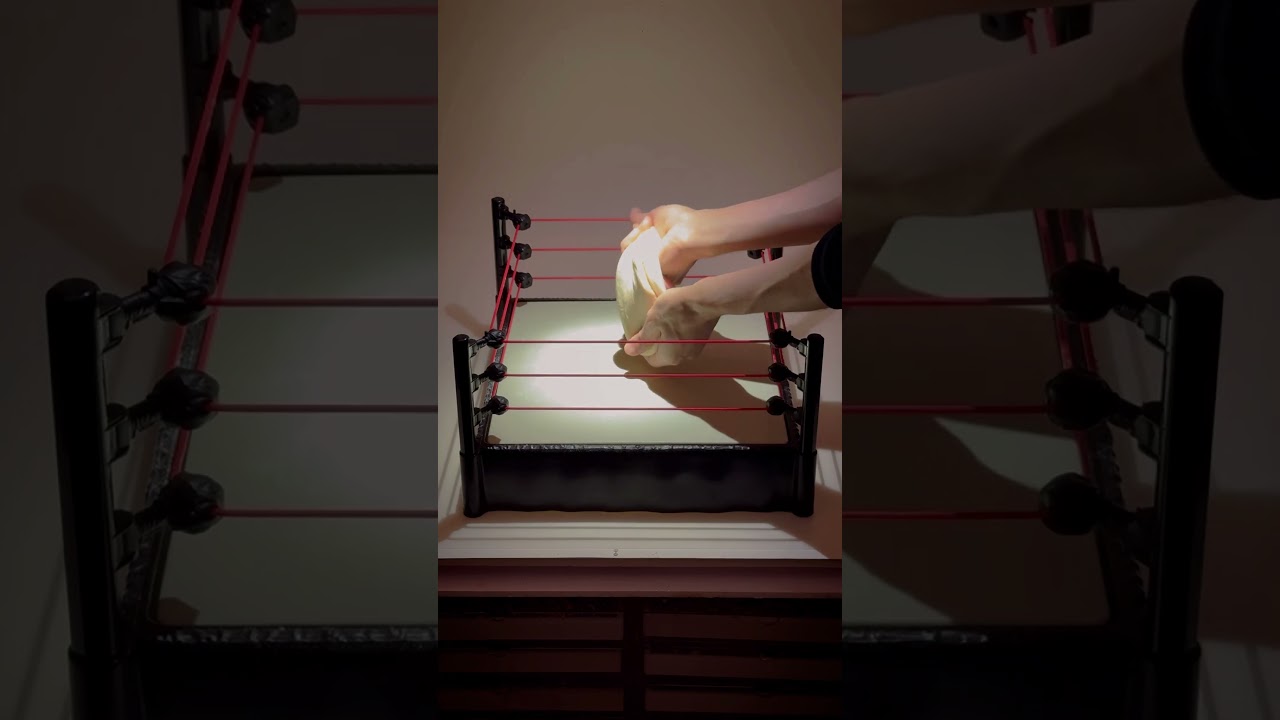 ピザレスラー Pizza Wrestler