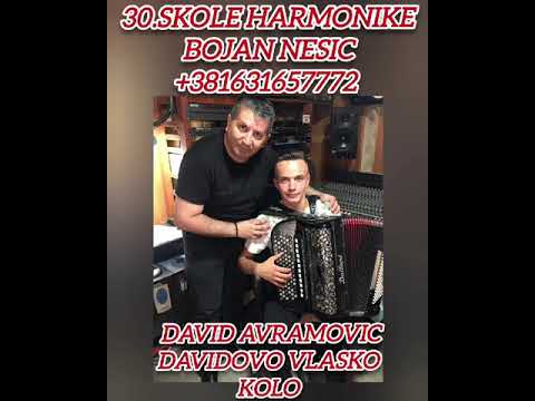 Skola harmonike Bojan Nesic +381631657772 Online casovi od 7-77 god