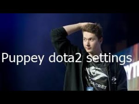 Puppey dota2 settings