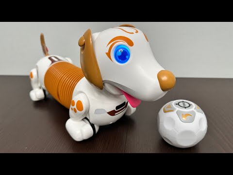ROBO DASH D Interactive Robotic Puppy Toys Unboxing 