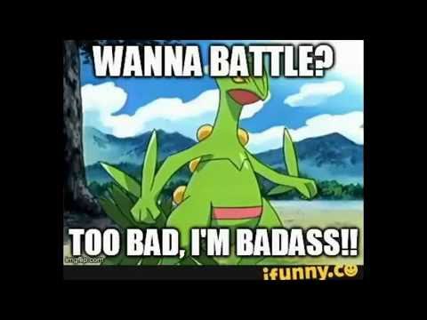 Sceptile sweep with swag, Pokémon battle!