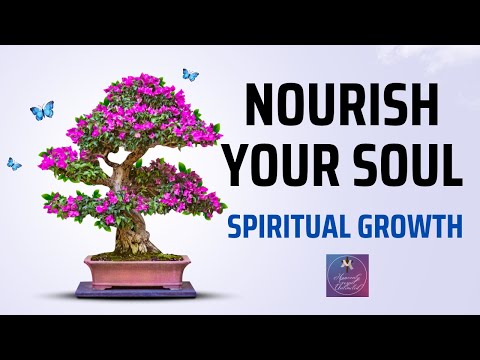 Nourish Your Soul | Spiritual Growth | How To Nourish Soul | What Bible Says About Nourishing soul
