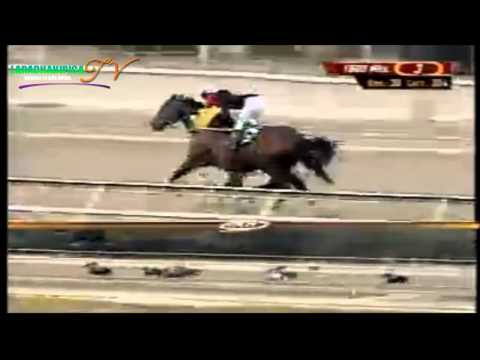 LA RINCONADA 3 CARRERA DOMINGO 16 DE MARZO DEL 2014