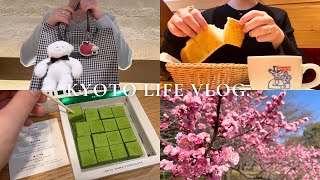 vlog｜京都に住む女の日常🐱｜コメダで朝活☕️｜御所さんぽ🌷｜新生児と過ごす一日👶🏻｜カバンの中身👜（familiar・FEILER）