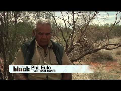 Living Black: S18 Ep11 - Bush Blitz preview