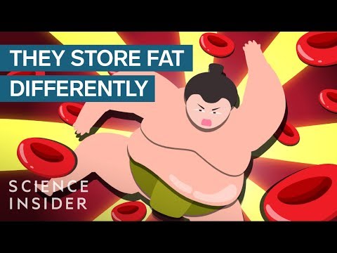 How Sumo Wrestlers Stay Healthy On 7,000 Calories A Day Video