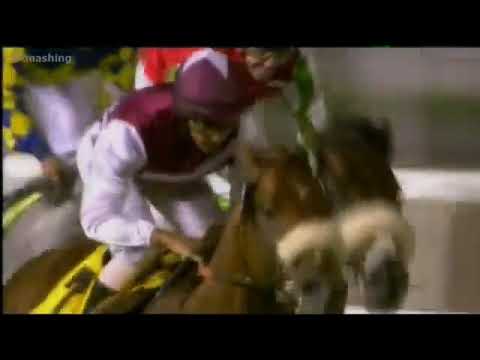 2010 Dubai Duty Free Stakes G1 - Al Shemali (北方之星) - R Ffrench (56倍) - 香港馬好爸爸全程未能望空走勢一般只能以第八名過終點